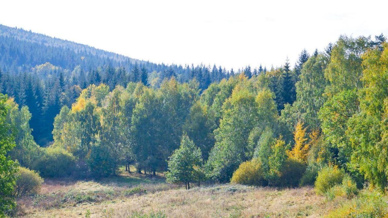 Apartamenty Zakopianska By Royal Aparts Świeradów-Zdrój Buitenkant foto